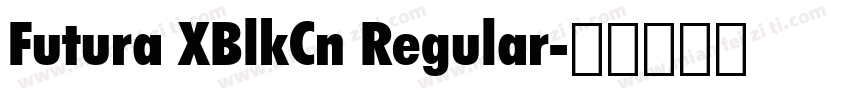 Futura XBlkCn Regular字体转换